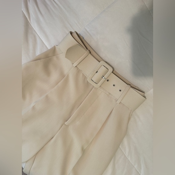 Zara Beige Pants - Picture 6 of 6